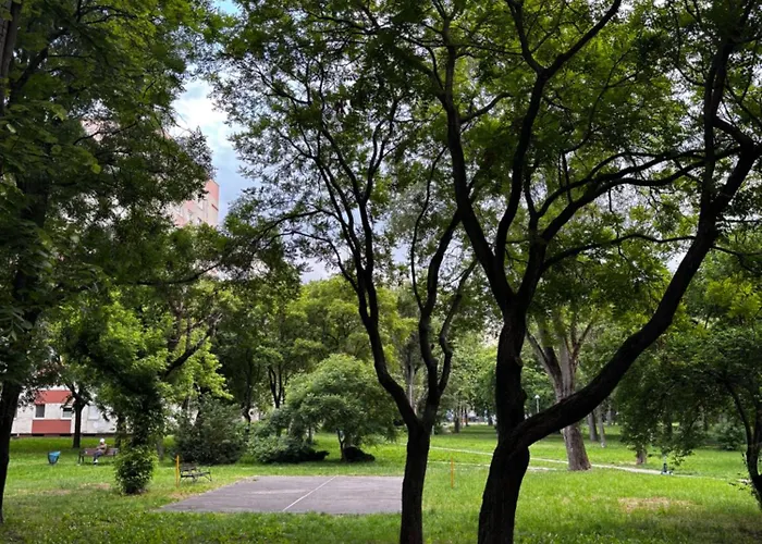 Palota Daire